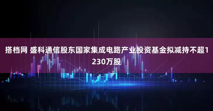 搭档网 盛科通信股东国家集成电路产业投资基金拟减持不超1230万股